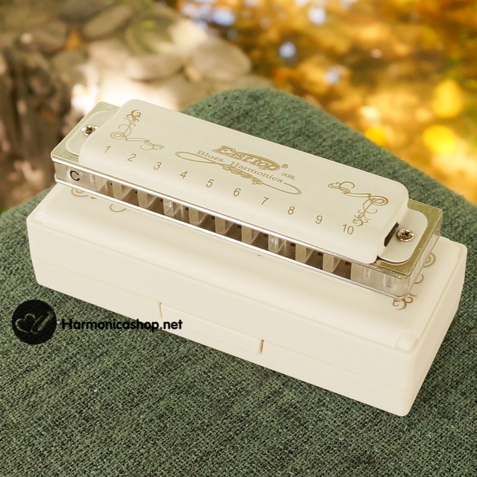 Kèn harmonica 10 lỗ DIATONIC EASTTOP T008L màu trắng - TONE C