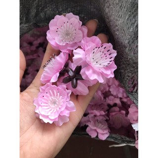 500g bông đào mai rời
