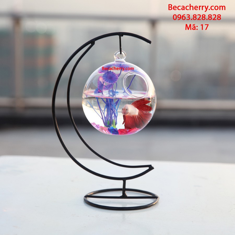 Bể cá mini cung trăng 17 trăng nhỏ ( tặng kèm phụ kiện trang trí ) | BigBuy360 - bigbuy360.vn