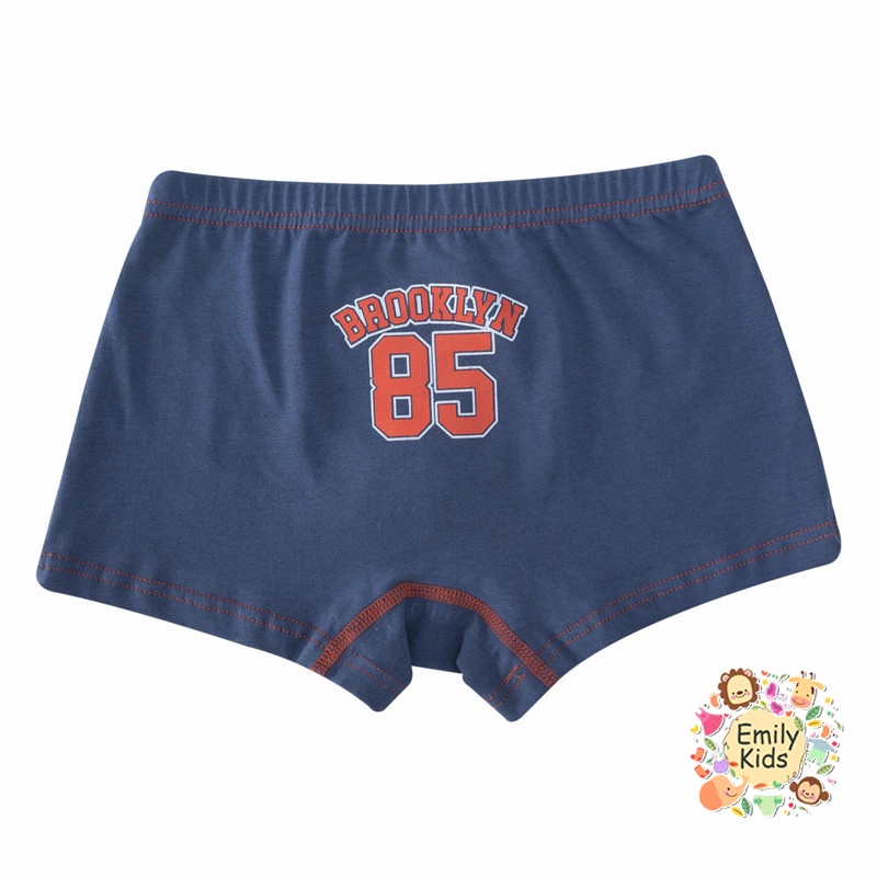 Bộ 5 QuầN LóT Boxer ThờI Trang Cho Bé Trai (3-12 TuổI)