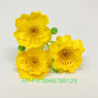 Hoa mai chùm (1kg 600 bông có kèm lá kẽm nụ