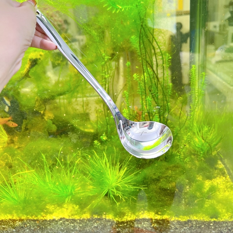 Muỗng canh muôi múc canh vá múc canh inox 304 cao cấp