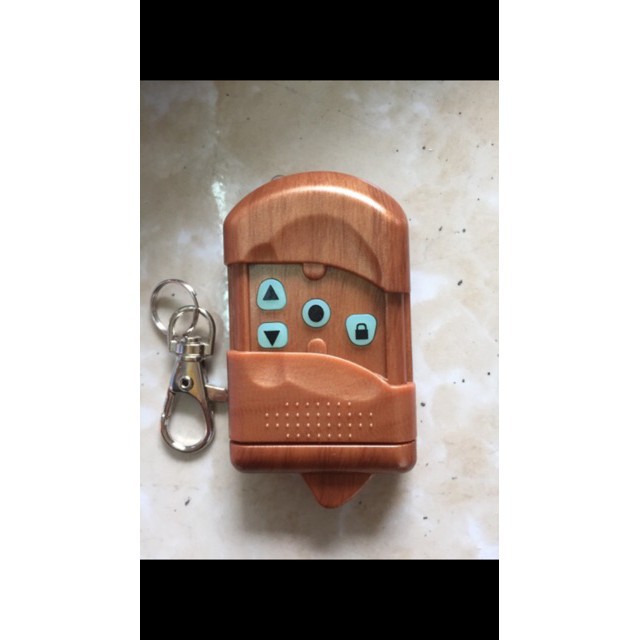 Tay điều khiển mã gạt 315