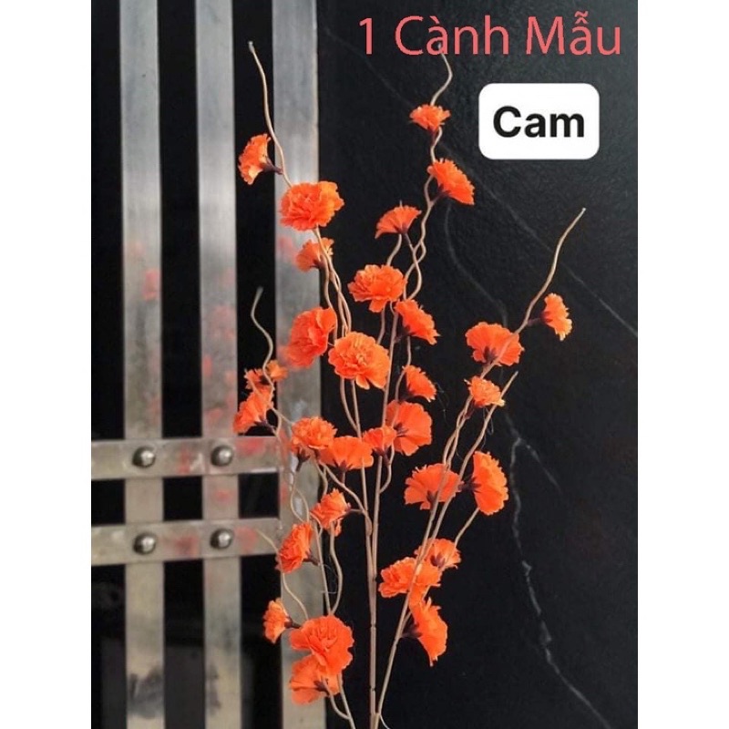 Hoa Giả- Cành Đào Râu-anh đào 1m trang trí,decor