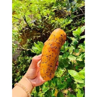 SET BỘT CHIÊN BÁNH CHUỐI 🍌🍌🍌