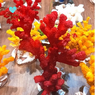 San hô trang trí bể cá, bàn làm việc , tủ trà, bàn trà