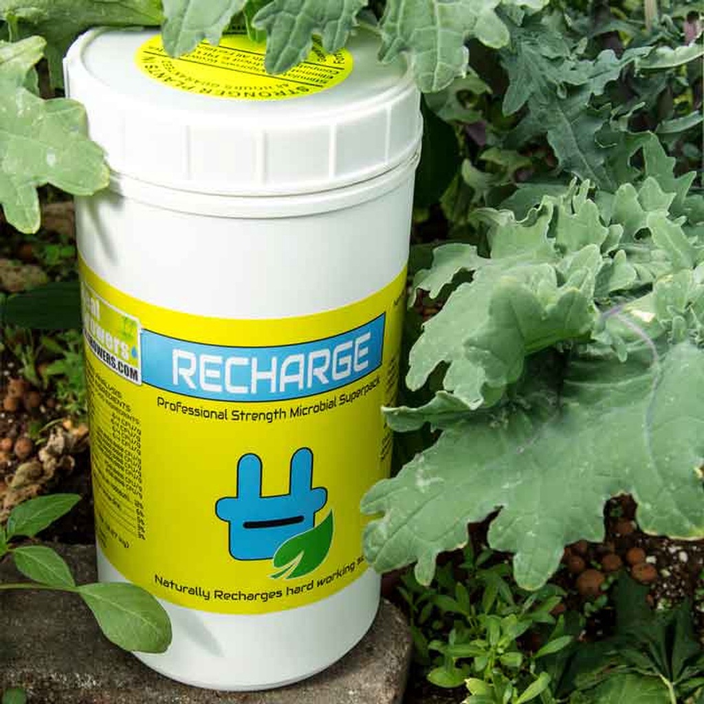 Phân Bón Real Growers Recharge Kích Rễ
