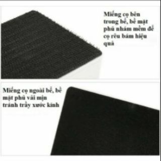 Cọ bể cá cảnh, hỗ cá cảnh nam châm hút siêu mạnh
