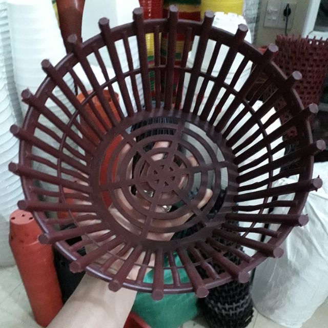 10 Chậu trồng lan phi 20cm
