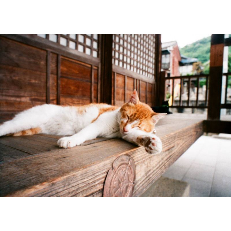 [Hanoi Film] Phim Fuji Superia Premium 400