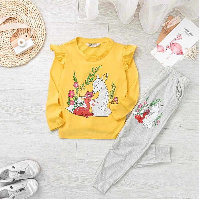 Bộ dài tay bé gái Janeshop, Set quần áo cotton size đại bèo vai cực xinh 18-40kg