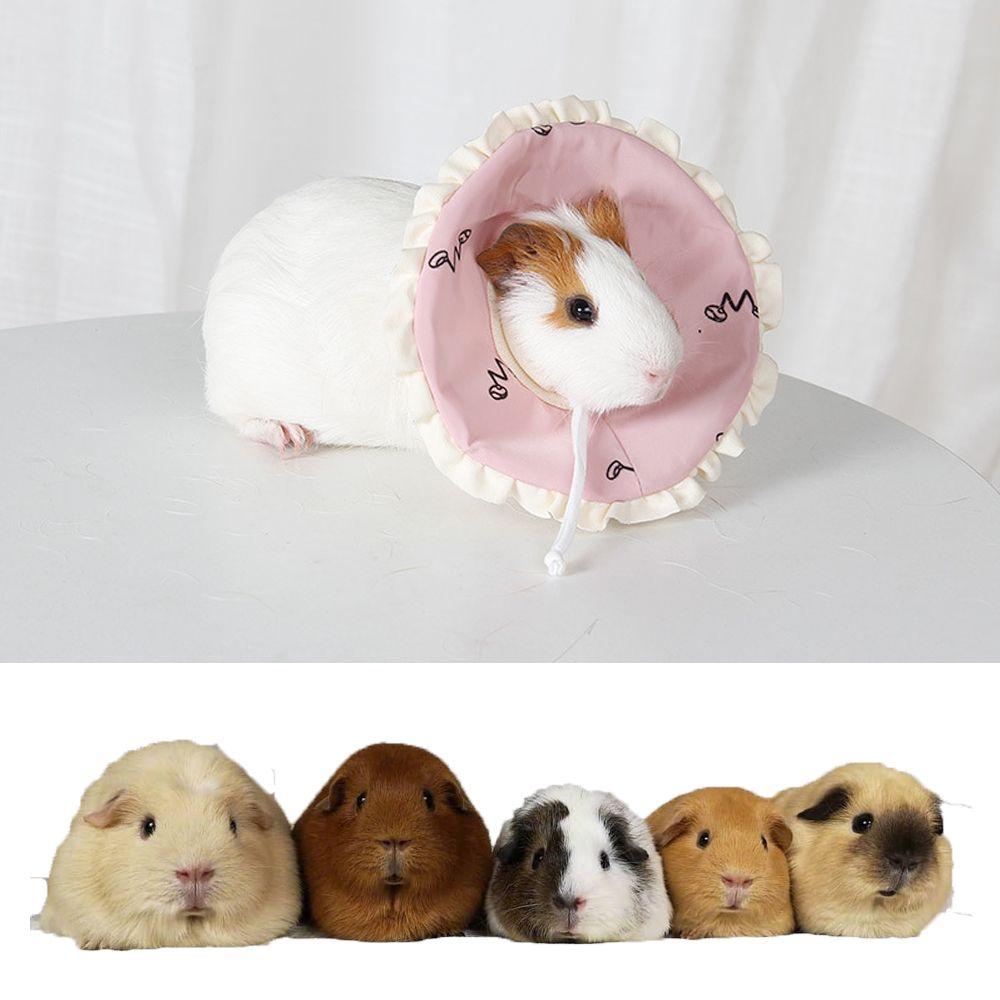 Layor1 Vòng Đeo Cổ Bảo Vệ Cổ Cho Chuột Hamster Elizabethan Hình Nón Nhỏ