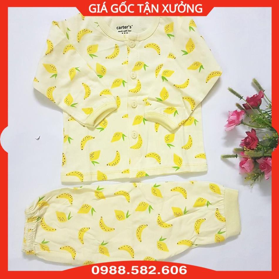 Bộ Quần Áo Dài Tay Cotton Carter In Họa Tiết Dễ Thương Cho Bé