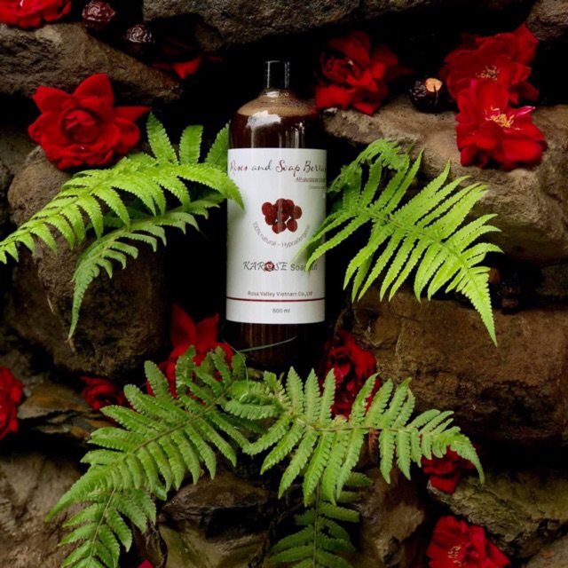 Nước rửa bát Karose Soapnut