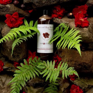 Nước rửa bát Karose Soapnut
