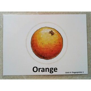 Flashcard Fingerprints 1