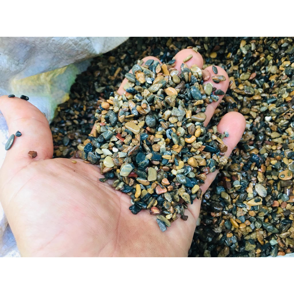 SỎI SUỐI CÁT SUỐI TỰ NHIÊN TRÃI NỀN HỒ TÔ CÁ TÉP BIOTOP BỊCH 2kg