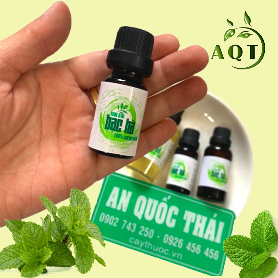 Tinh Dầu Bạc Hà Nguyên Chất Thảo Dược An Quốc Thái 10ml, 20ml Kháng Khuẩn, Phòng Cảm Cúm