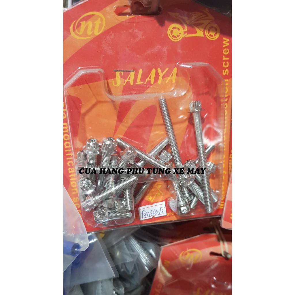 Bộ ốc lốc máy Raider Fi/ Satria hàng SALAYA (28 con)