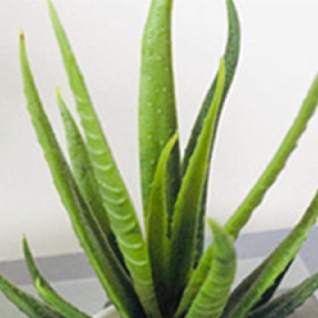 Chậu Cây Bonsai Giả Làm Bằng Nhựa Dùng Trang Trí Nhà Cửa