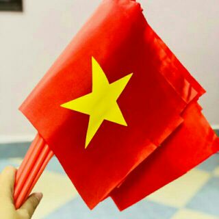 Combo 10c cờ Tổ quốc cầm tay cán nhựa loại đẹp