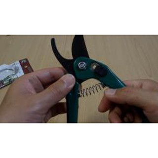 KÉO TỈA CÀNH CÂY