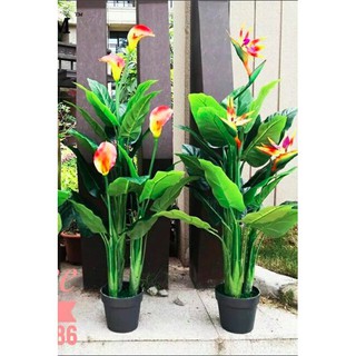 Cây Thiên Điểu/Rum/Hồng Môn cao 1m5 Tặng Kèm Chậu 🌳 - Cây cảnh giả