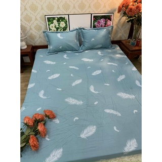 Bộ ga gối bo chun cotton
