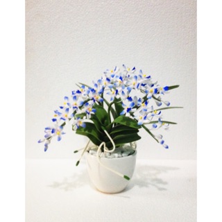 Hoa Lan Ngọc điểm đất sét