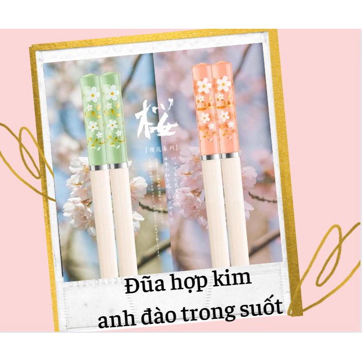 Bộ đũa hợp kim kháng khuẩn chống trơn trượt hoa nhí trong suốt