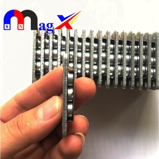 Nam Châm Gắn Xe Hoa - Nam Châm Gắn Hoa Giả HCN