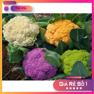 Hạt giống Súp lơ nhiều màu (10 hạt)