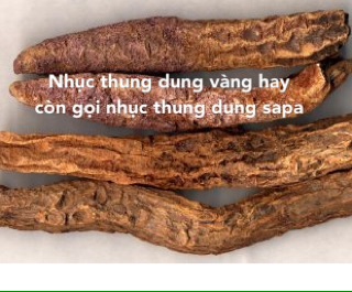 100g Nhục Thung Dung ( Khô )