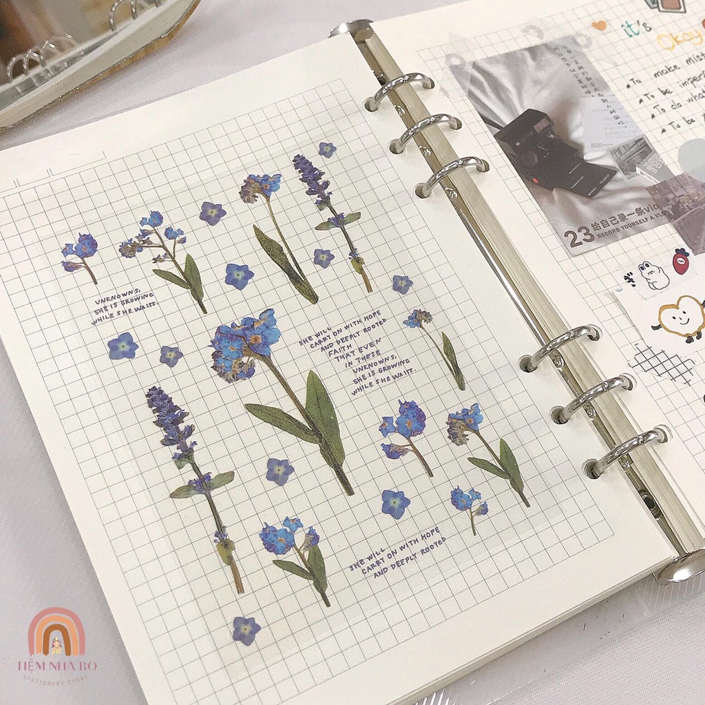 STICKER HOA, NHÃN DÁN TRANG TRÍ SỔ TAY BASIC SIÊU XINH