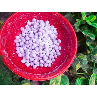 TRÂN CHÂU NHÂN DỪA vị NHO [Chỉ ship nhanh TP.HCM]