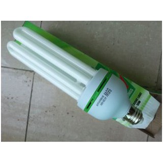 Bóng đèn gắn tường nhà 55W