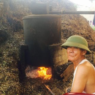 Tinh dầu tràm nguyên chất.