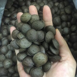 Hạt sachi rang chín ăn liền 500g