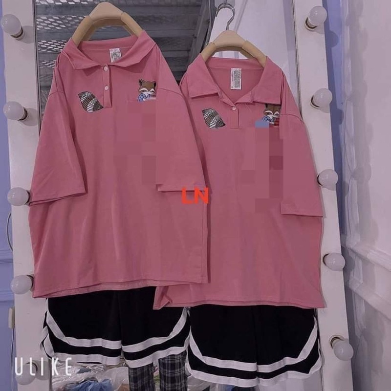 Sét áo polo cáo đuôi + quần đùi V TH6
