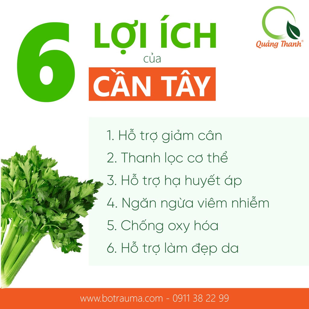 [CHÍNH HÃNG] Bột Cần Tây Wefresh 100% Nguyên Chất Sấy Lạnh - Sáng da, đẹp dáng, detox cơ thể - Gói 50 gr