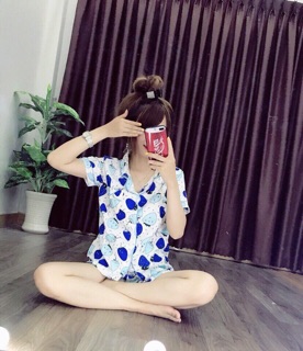 ❤️ Đồ Bộ Tay Ngắn Quần Ngắn ❤️