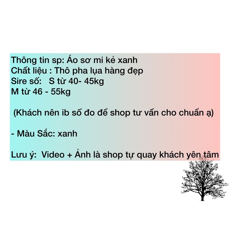 Áo sơ mi nữu, áo sơ mi cộc tay kẻ xanh chất đẹp [ sẵn ảnh thật ]