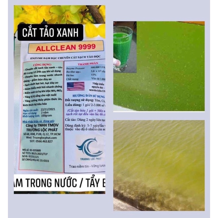(MUA 10 TẶNG 01) MEN CẮT TẢO XANH, TẢO ĐỎ, LÀM TRONG NƯỚC, TẨY NHỚT BẠT-VI SINH-ENZYME HÀM LƯỢNG CAO