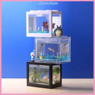 Bể cá mini trang trí hồ cá độc đáo