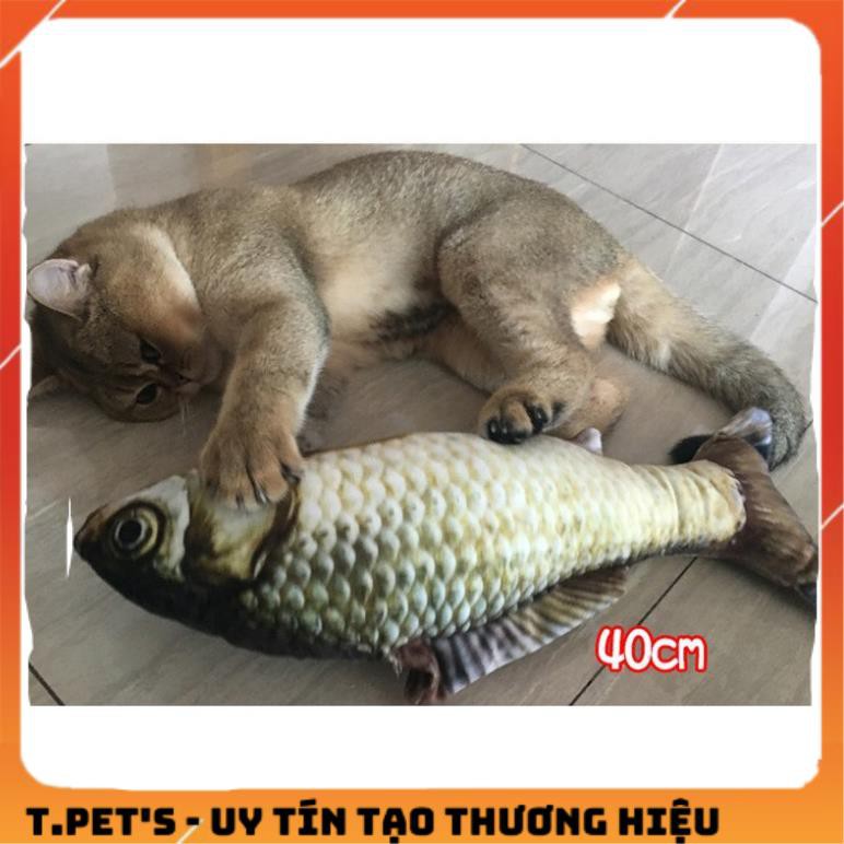 Đồ chơi cá nhồi bông catnip cho mèo (Tặng kèm catnip)