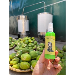 Xịt bưởi hương nhu