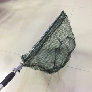Vợt vớt cá