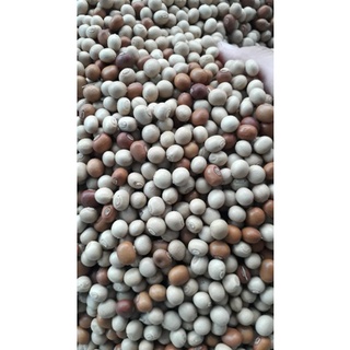 Hạt đậu rồng già