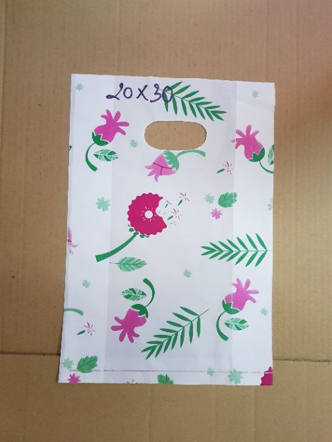 0,5 kg túi hột xoài dày,dai