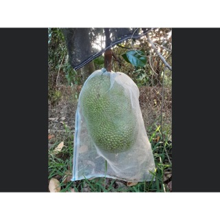 10 Túi lưới bọc mít, sầu riêng kích thước 50x70